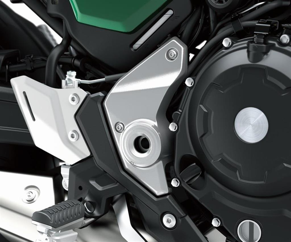 Swingarm Bolt Covers (Z650RS)