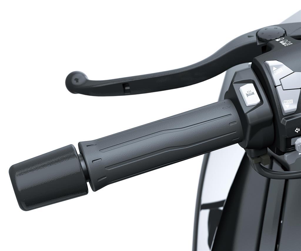 Σετ θερμαινόμενων γκριπ (Z H2/SE)