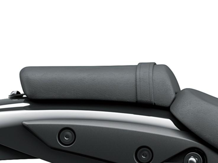 Φιλική για τον επιβάτη