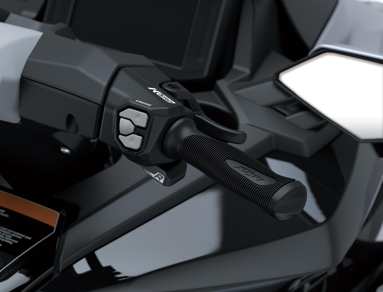 Adjustable Electronic Cruise Control