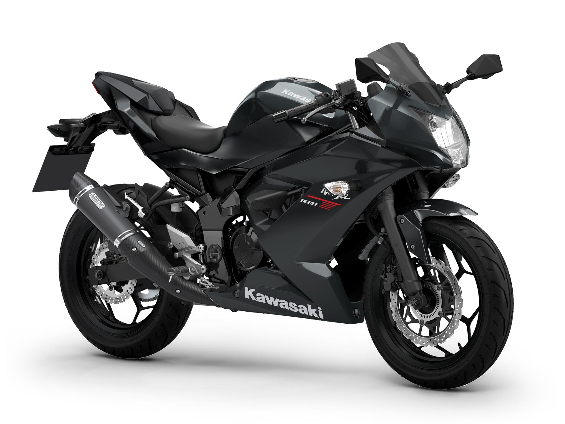 Ebony / Metallic Carbon Gray