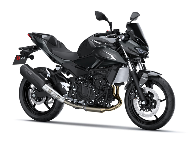 Z500 Performance Remus